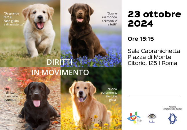 Diritti in movimento: foto du 4 cani guida